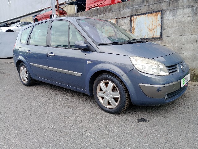 RENAULT SCENIC (F9Q E8) 1.9 DCI GRAND II (JM) 131CV (2004-2008) 96KW (2006)