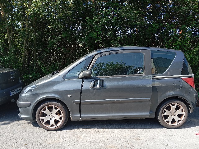 PEUGEOT 1007 (NFU) 1.6 G AUTOMATICO (109CV) (2005 2022) 80KW (2008)