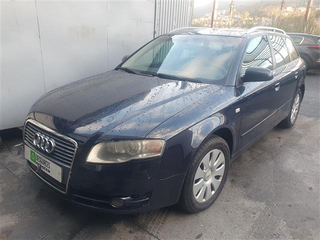 AUDI A4 (BDG) 2.5 TDI 163CV (B7) (8E) V6 (2004-2008) 120KW (2005)