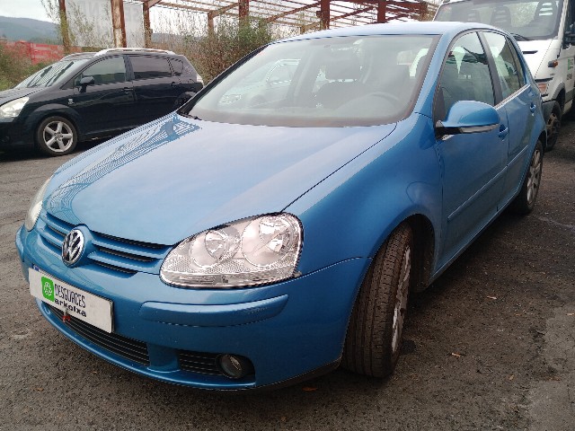 VOLKSWAGEN GOLF (BKC) 1.9 TDI V 4 MOTION 105CV (2004-2008) 77KW (2005)