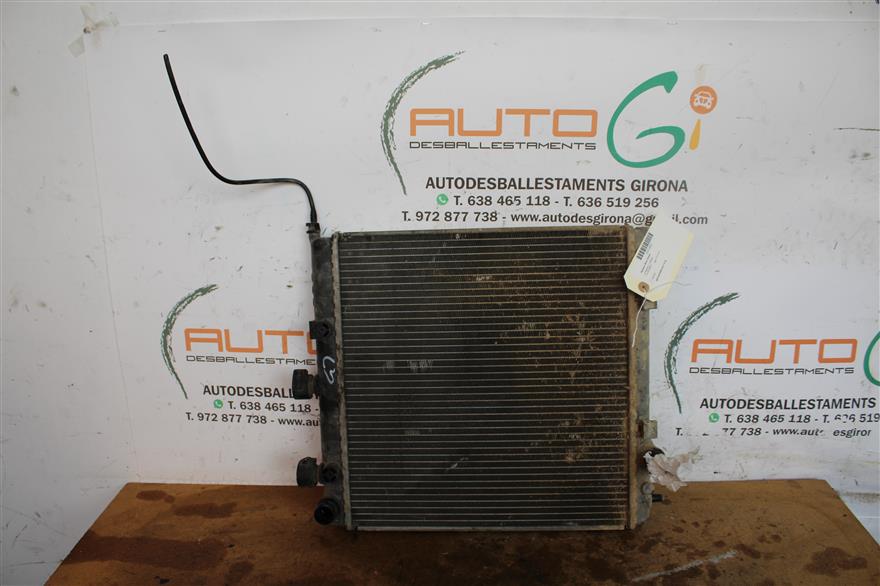 RECAMBIO para Citroen C  3