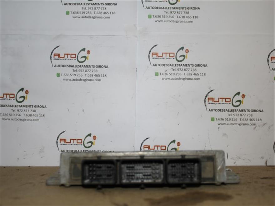 RECAMBIO para Citroen C  2 1.4 G 54Kw (2003)