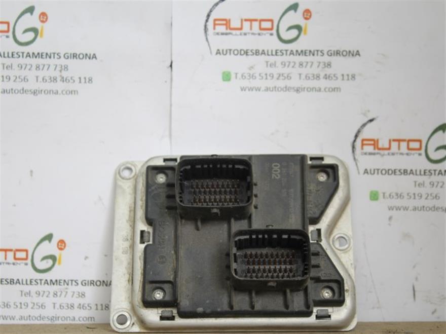RECAMBIO para Fiat Brava 1.2 G 60Kw (1998)
