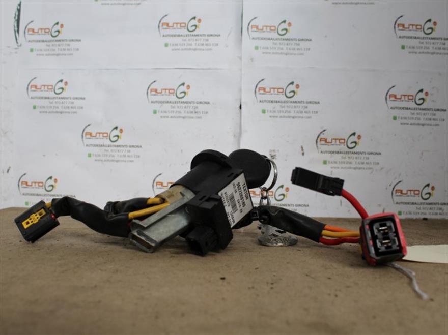 RECAMBIO para Renault Kangoo