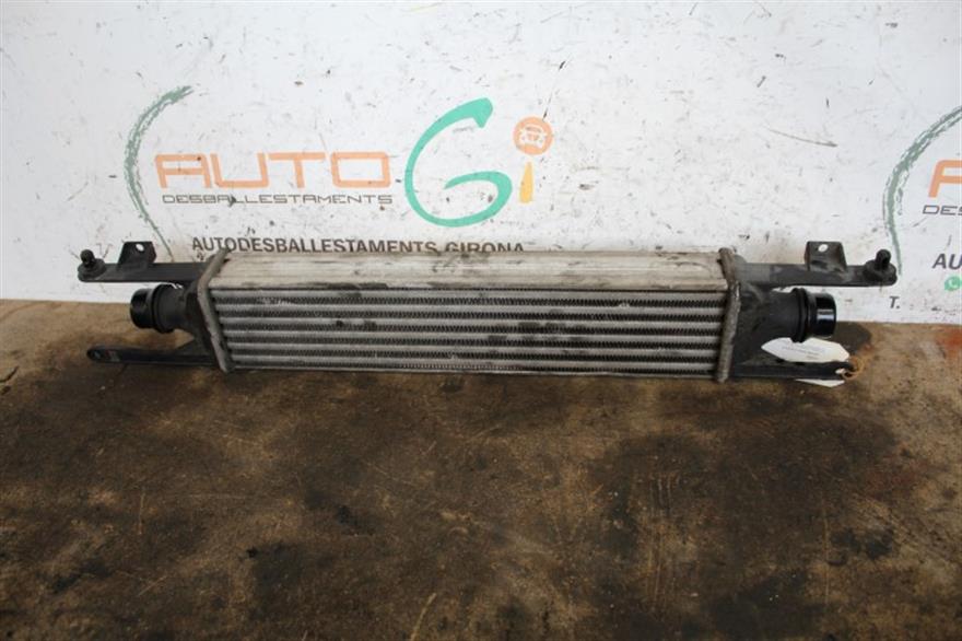 RECAMBIO para Renault Espace 1.9 DCI 88Kw (2002)