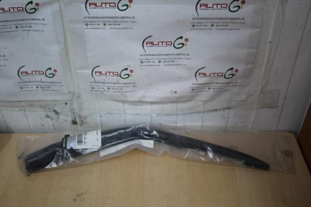 RECAMBIO para Renault Clio