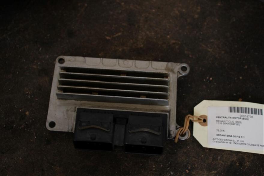 RECAMBIO para Renault Clio 1.2 G 55Kw (2003)