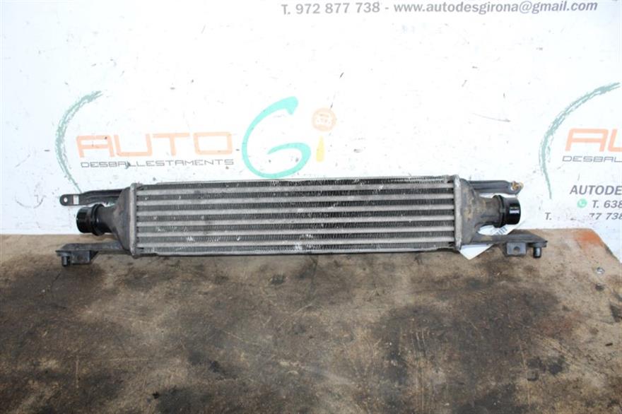 RECAMBIO para Renault Espace 1.9 DCI 88Kw (2002)