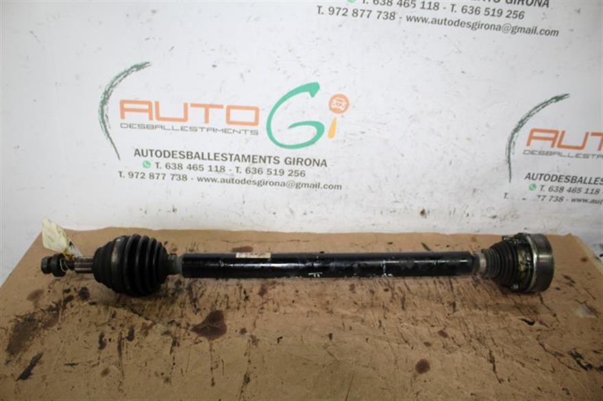 RECAMBIO para Seat Leon 1.6 G LEON II SPORT (2006)