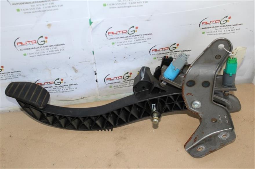 RECAMBIO para Renault Megane Scenic 1.6 G (2005)