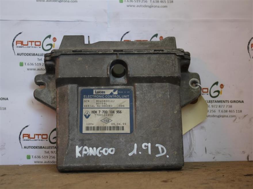 RECAMBIO para Renault Kangoo 1.9 D (1999)