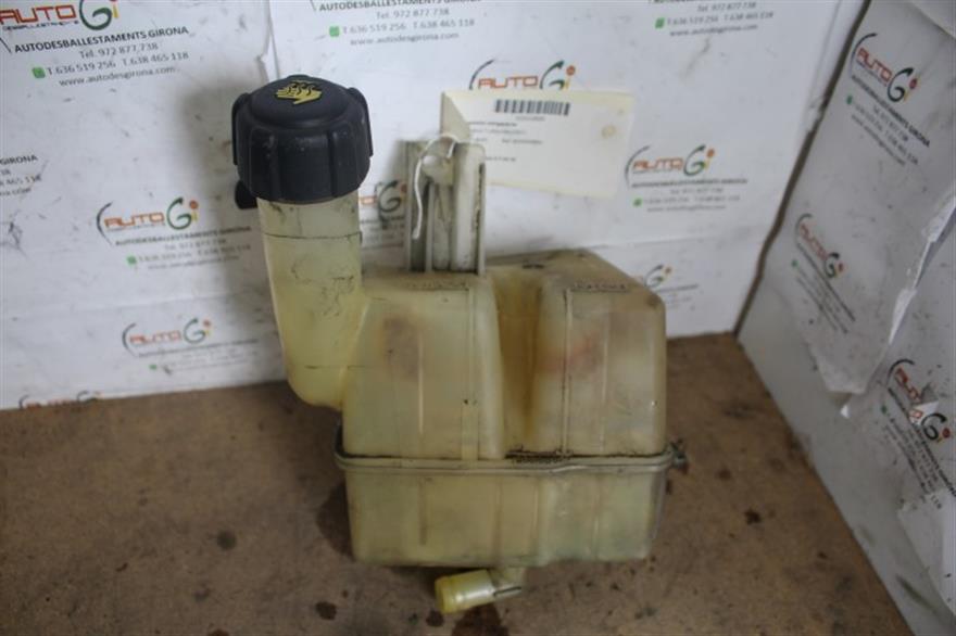 RECAMBIO para Renault Laguna 1.9 DCI LAGUNA II 88Kw (2001)