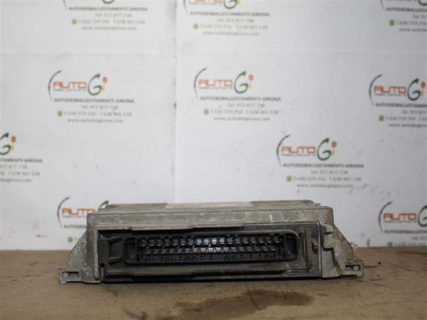 RECAMBIO para Fiat Punto 1.2 G 44Kw (1999)