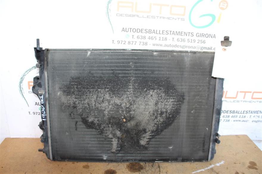 RECAMBIO para Renault Megane Scenic