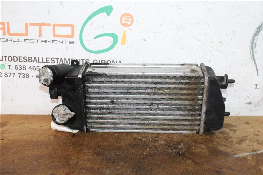 RECAMBIO para Citroen C  3