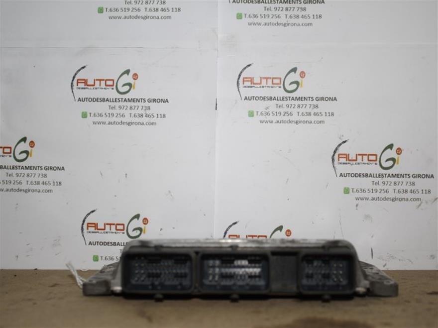 RECAMBIO para Renault Megane Scenic 1.6 G (2005)