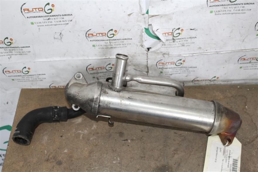 RECAMBIO para Ford Focus 1.6 G (2000)
