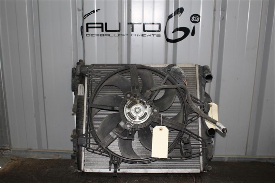 RECAMBIO para Renault Megane Scenic 1.6 G (2005)