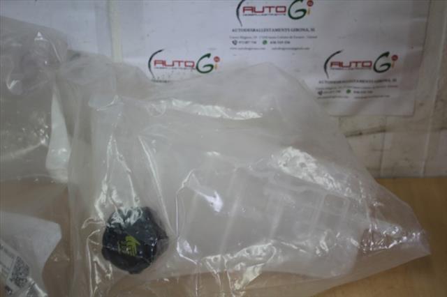 RECAMBIO para Renault Kangoo