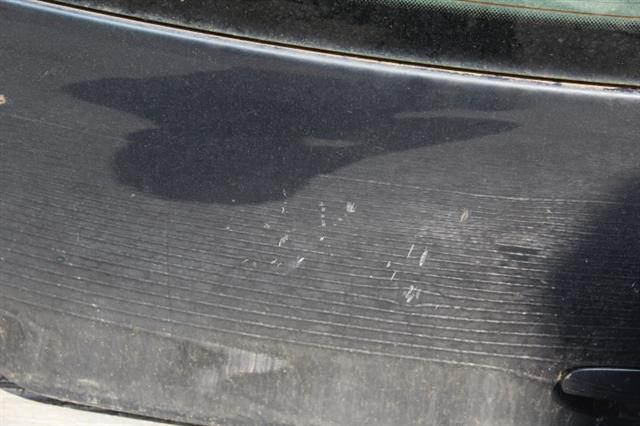 RECAMBIO para Volkswagen Polo 1.2 G 47Kw (2005)