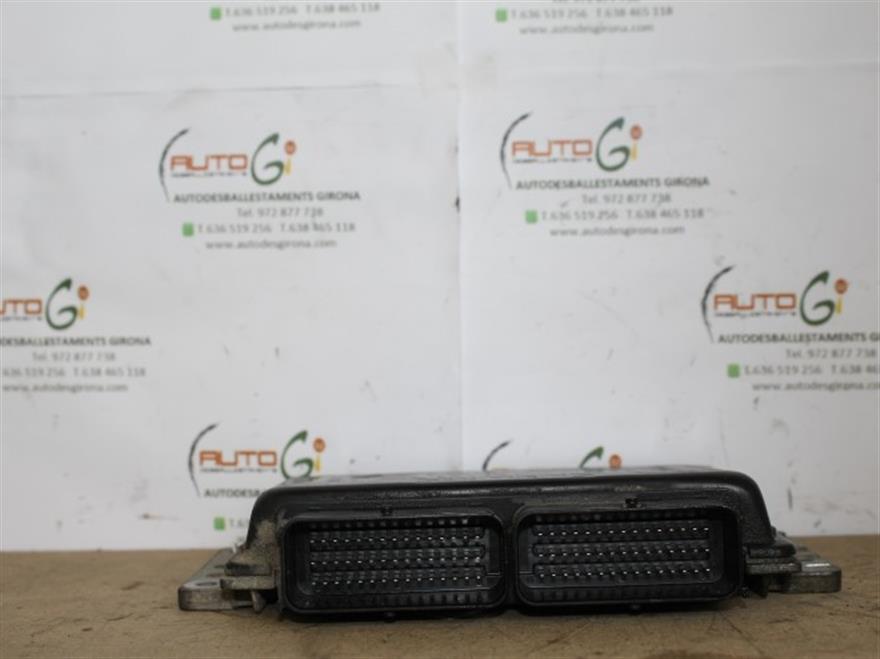 RECAMBIO para Renault Megane 1.4 G (2002)