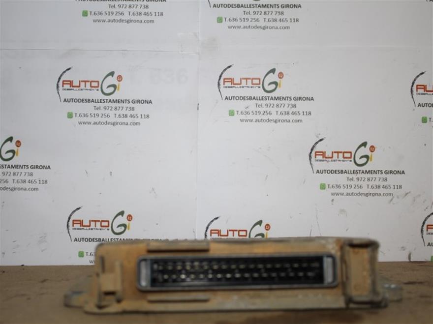 RECAMBIO para Renault Clio 1.1 G (1996)