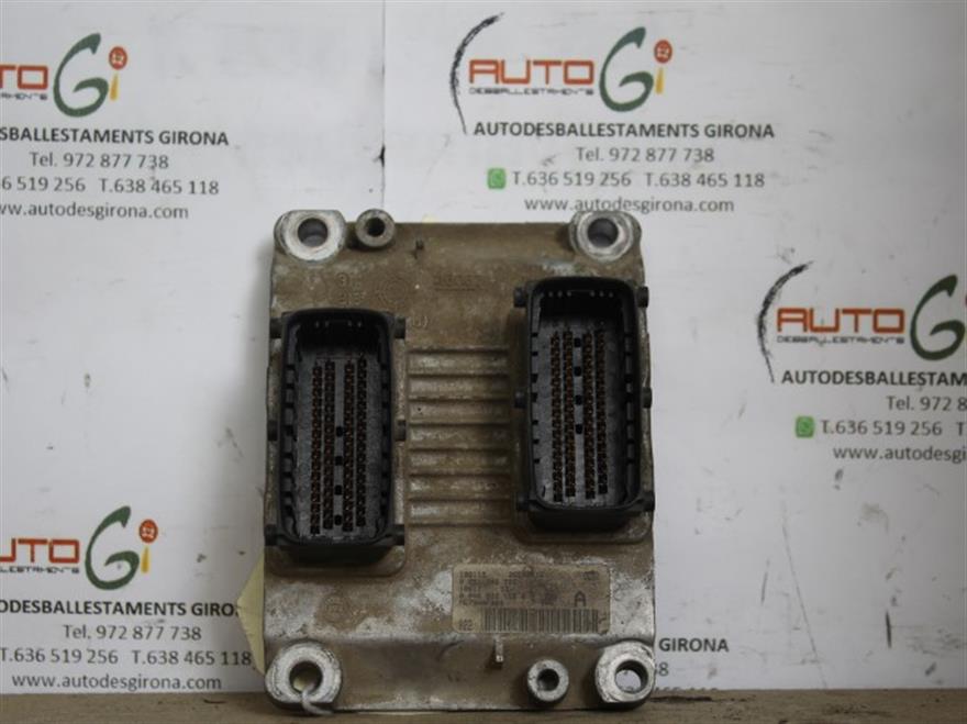 RECAMBIO para Fiat Punto 1.2 G (2001)
