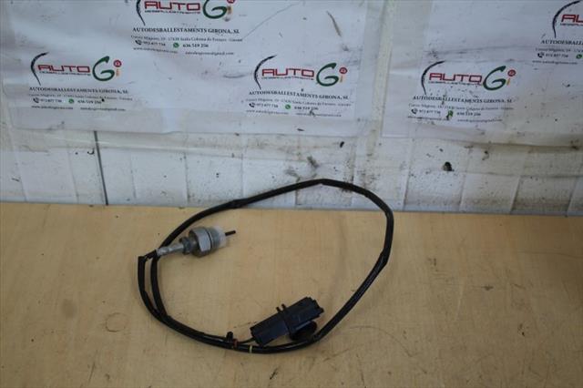 RECAMBIO para Renault Megane