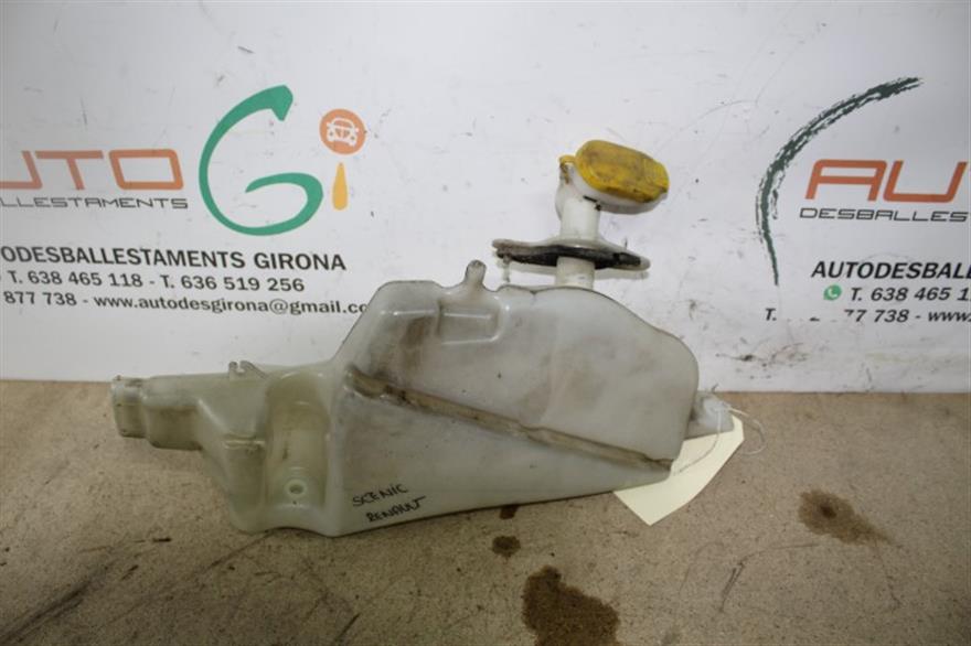 RECAMBIO para Renault Megane Scenic 1.6 G 79Kw (2001)