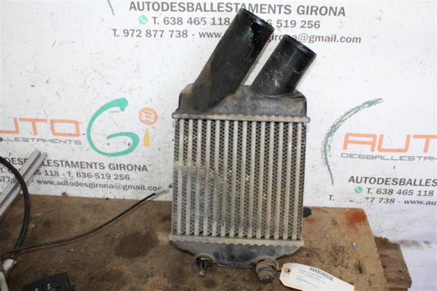 RECAMBIO para Renault Megane Scenic 1.9 DCI 4X4 75Kw (2002)