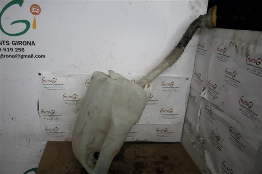 RECAMBIO para Renault Megane Scenic 1.9 DCI 88Kw (2004)