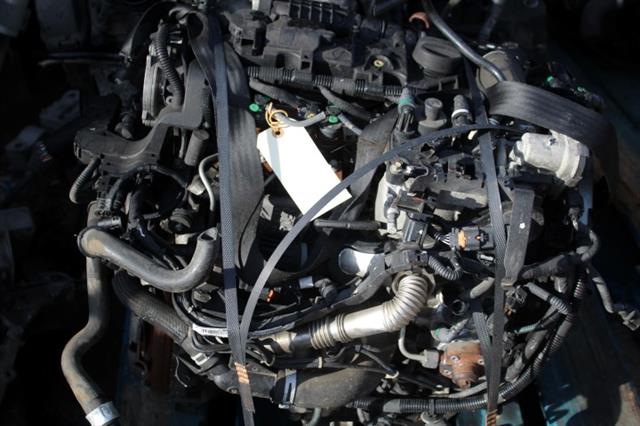 RECAMBIO para Citroen C Elysée 1.6 HDI 68Kw (2014)