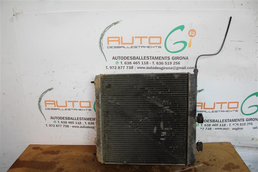 RECAMBIO para Citroen C  3