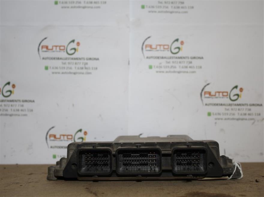 RECAMBIO para Renault Megane Scenic 1.9 DCI (2003)