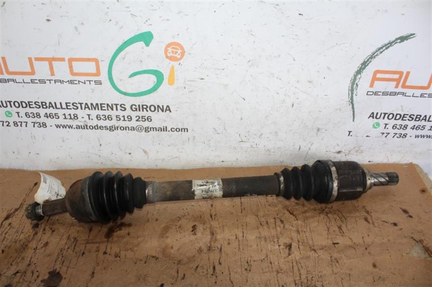 RECAMBIO para Renault Megane Scenic 1.6 G (2005)