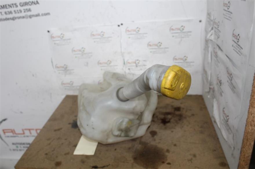 RECAMBIO para Renault Megane Cabrio 1.9 DCI F9Q800 (2005)