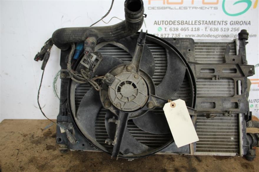 RECAMBIO para Ford Escort 1.6 G 65Kw (1994)