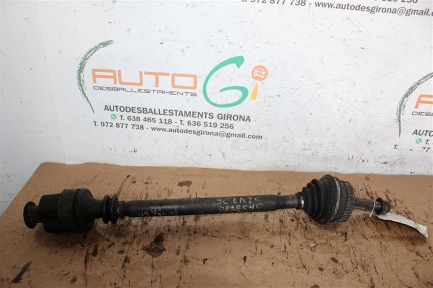 RECAMBIO para Renault Megane Scenic 1.9 DTI (1998)
