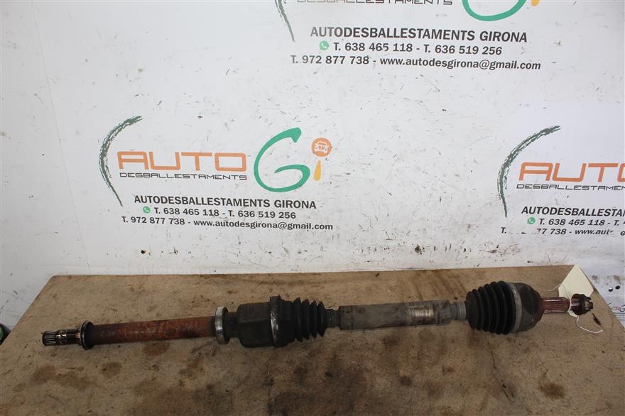 RECAMBIO para Renault Megane Scenic 1.5 DCI 74Kw (2004)