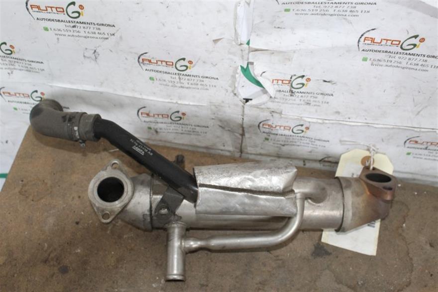 RECAMBIO para Ford Focus 1.6 G (2000)