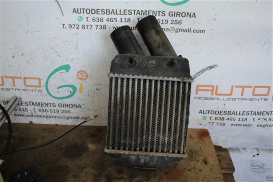 RECAMBIO para Renault Megane Scenic 1.9 DCI 4X4 75Kw (2002)