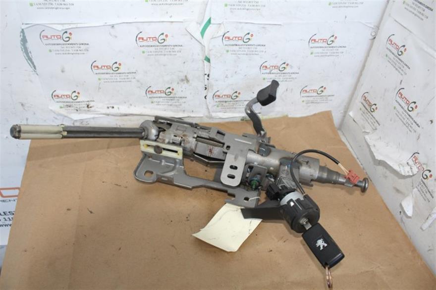 RECAMBIO para Peugeot 207 1.4 HDI 50Kw (2007)