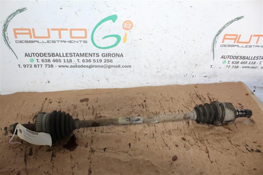 RECAMBIO para Renault Megane Scenic 1.9 DCI 4X4 75Kw (2002)