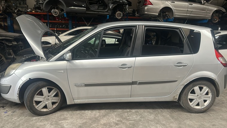 Renault Scenic 1.9 DCI F9QE804 (2006)
