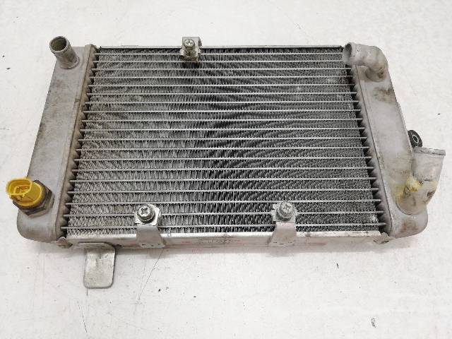 RADIADOR-AGUA  SUZUKI BURGMAN 250 AN250 16,9 (2007)