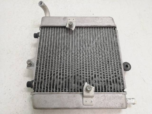 RADIADOR-AGUA  HONDA FORZA 250 NSS250A 16 (2009)