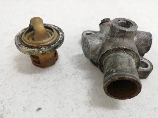 TERMOSTATO  SUZUKI BURGMAN 250 AN250 16,9 (2007)
