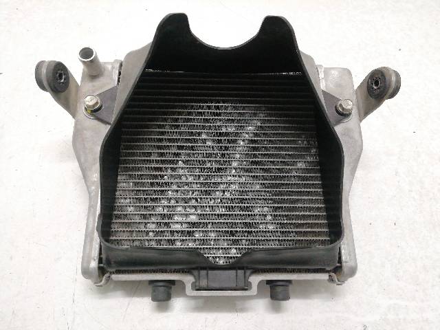 RADIADOR-AGUA  HONDA FORZA 350 NSS350A 21,50 (2022)