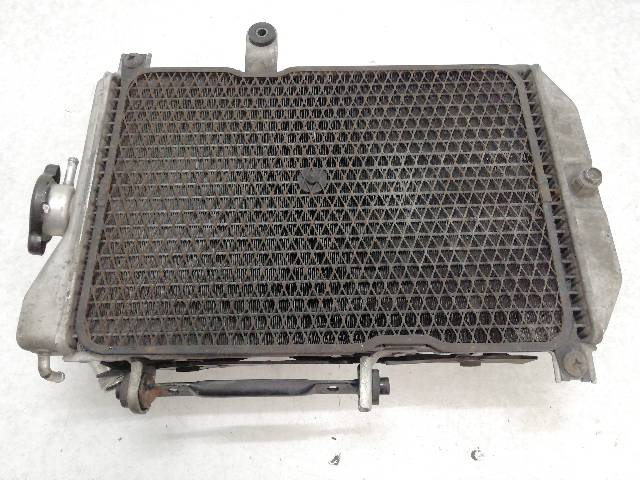 RADIADOR-AGUA  SUZUKI BURGMAN 650 ABS AN650 PC40 40,50 (2004)