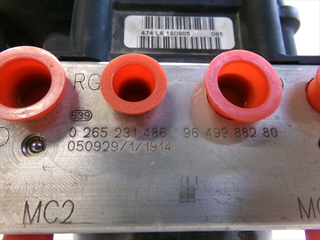 Foto 5